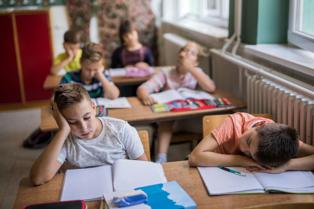 Nadezhda Knyaginina presented the results of a study of the workload of school children